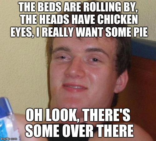My brother wrote this. He's kinda insane.  | THE BEDS ARE ROLLING BY, THE HEADS HAVE CHICKEN EYES, I REALLY WANT SOME PIE; OH LOOK, THERE'S SOME OVER THERE | image tagged in memes,10 guy | made w/ Imgflip meme maker