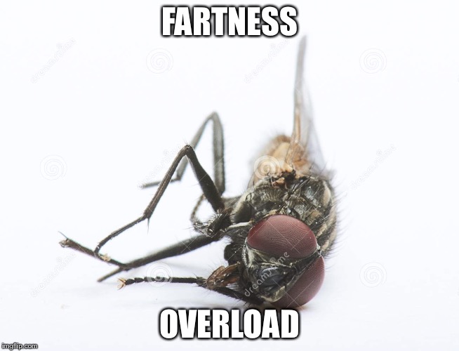 French fly | FARTNESS OVERLOAD | image tagged in french fly | made w/ Imgflip meme maker