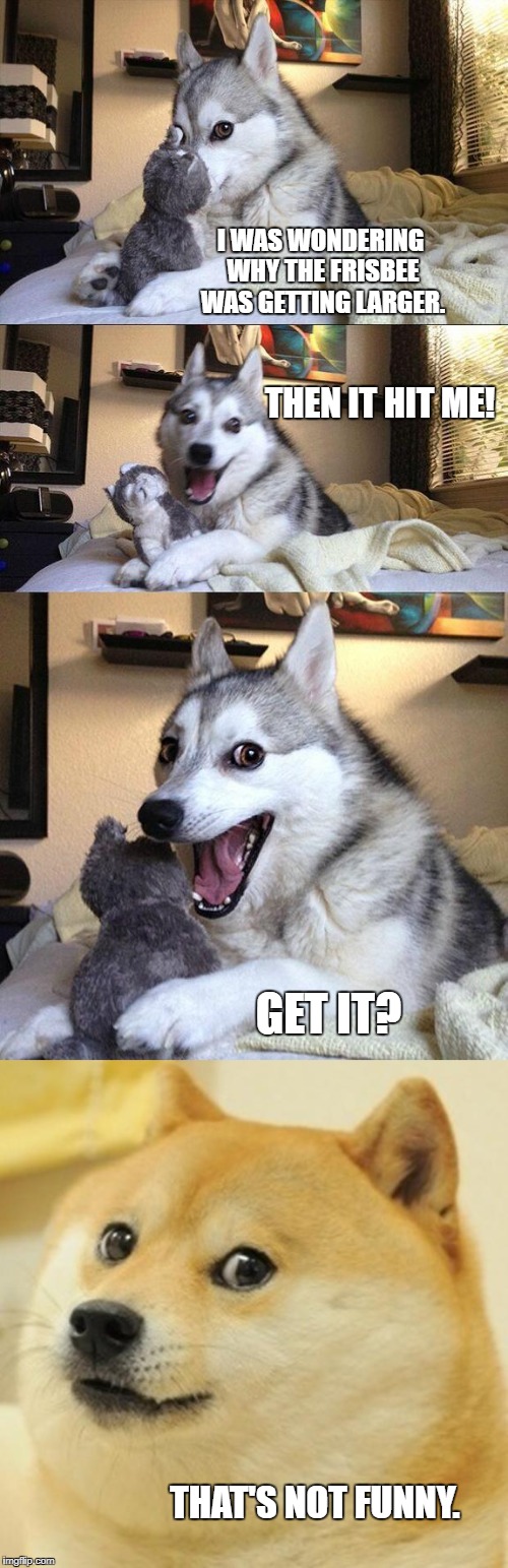 Doge Bad Pun Dog That S Not Funny Imgflip