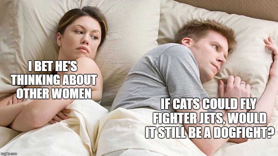 I Bet He's Thinking About Other Women | I BET HE'S THINKING ABOUT OTHER WOMEN; IF CATS COULD FLY FIGHTER JETS, WOULD IT STILL BE A DOGFIGHT? | image tagged in i bet he's thinking about other women | made w/ Imgflip meme maker