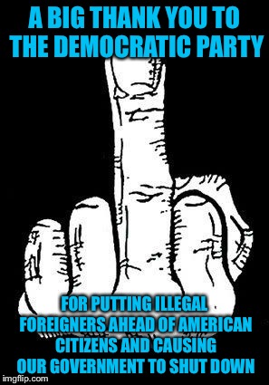 middle finger  | A BIG THANK YOU TO THE DEMOCRATIC PARTY; FOR PUTTING ILLEGAL FOREIGNERS AHEAD OF AMERICAN CITIZENS AND CAUSING OUR GOVERNMENT TO SHUT DOWN | image tagged in middle finger,democrats,democratic party,liberal logic,illegal aliens | made w/ Imgflip meme maker