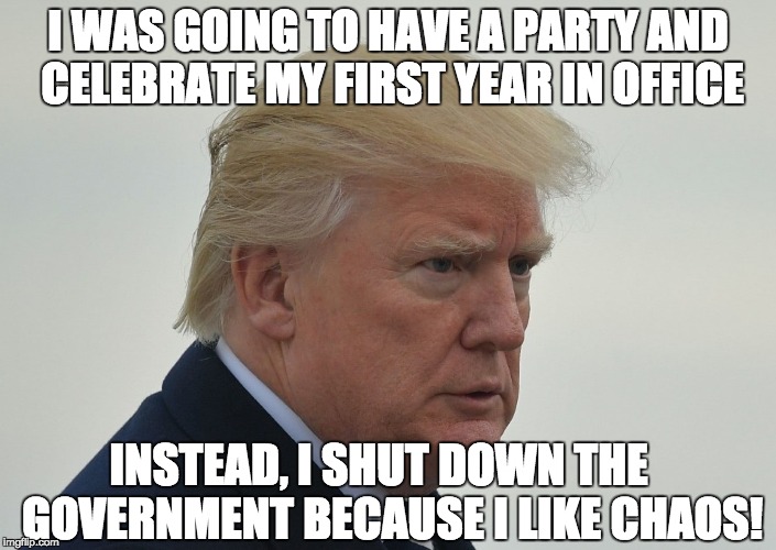 Donald Trump | I WAS GOING TO HAVE A PARTY AND CELEBRATE MY FIRST YEAR IN OFFICE; INSTEAD, I SHUT DOWN THE   GOVERNMENT BECAUSE I LIKE CHAOS! | image tagged in donald trump | made w/ Imgflip meme maker