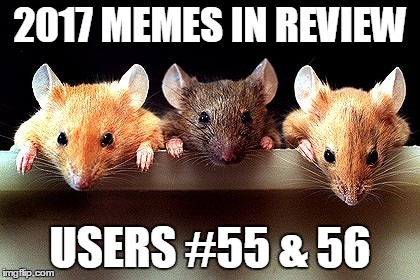 Dec.31 to Feb.1 - 2017 Memes in Review. These are my favorite 2017 memes from the Top 100 users on the leaderboard. | 2017 MEMES IN REVIEW; USERS #55 & 56 | image tagged in 3 mice,memes,favorites,shadows101,gothighmadeameme,2017 memes in review | made w/ Imgflip meme maker