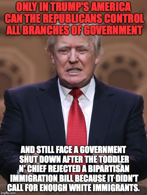 Racist n' Chief | ONLY IN TRUMP'S AMERICA CAN THE REPUBLICANS CONTROL ALL BRANCHES OF GOVERNMENT; AND STILL FACE A GOVERNMENT SHUT DOWN AFTER THE TODDLER N' CHIEF REJECTED A BIPARTISAN IMMIGRATION BILL BECAUSE IT DIDN'T CALL FOR ENOUGH WHITE IMMIGRANTS. | image tagged in donald trump,racist,republicans,government shutdown,shithole | made w/ Imgflip meme maker