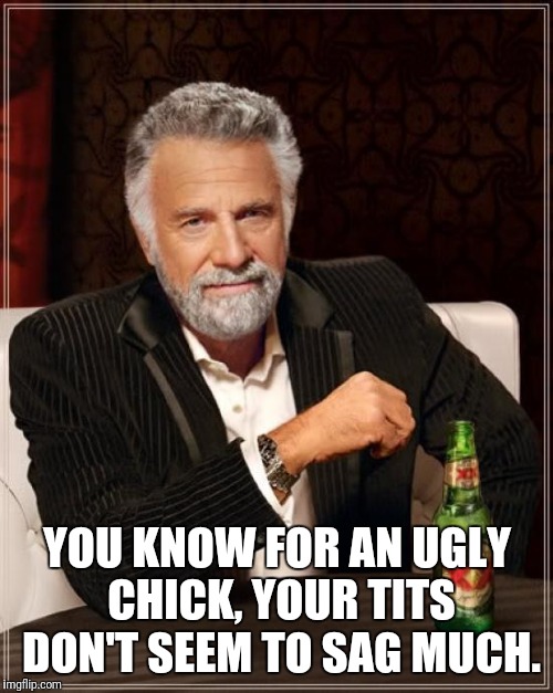 The Most Interesting Man In The World Meme | YOU KNOW FOR AN UGLY CHICK, YOUR TITS DON'T SEEM TO SAG MUCH. | image tagged in memes,the most interesting man in the world | made w/ Imgflip meme maker