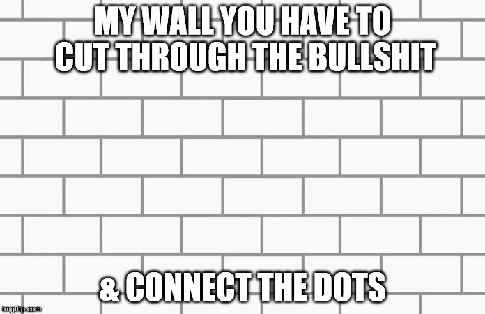 school of life | MY WALL YOU HAVE TO CUT THROUGH THE BULLSHIT; & CONNECT THE DOTS | image tagged in real life | made w/ Imgflip meme maker