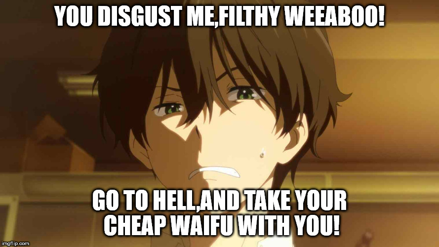 YOU DISGUST ME,FILTHY WEEABOO! GO TO HELL,AND TAKE YOUR CHEAP WAIFU WITH YOU! | image tagged in weeaboo,anime,waifu | made w/ Imgflip meme maker