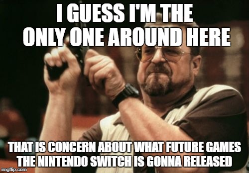 Am I The Only One Around Here Meme | I GUESS I'M THE ONLY ONE AROUND HERE; THAT IS CONCERN ABOUT WHAT FUTURE GAMES THE NINTENDO SWITCH IS GONNA RELEASED | image tagged in memes,am i the only one around here | made w/ Imgflip meme maker