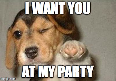 pointing dog | I WANT YOU; AT MY PARTY | image tagged in pointing dog | made w/ Imgflip meme maker