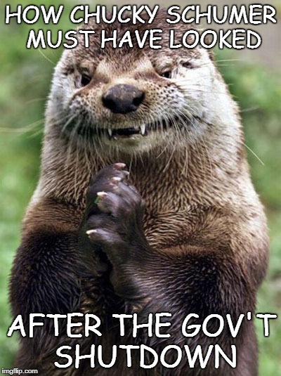 Evil Otter | HOW CHUCKY SCHUMER MUST HAVE LOOKED; AFTER THE GOV'T SHUTDOWN | image tagged in memes,evil otter | made w/ Imgflip meme maker
