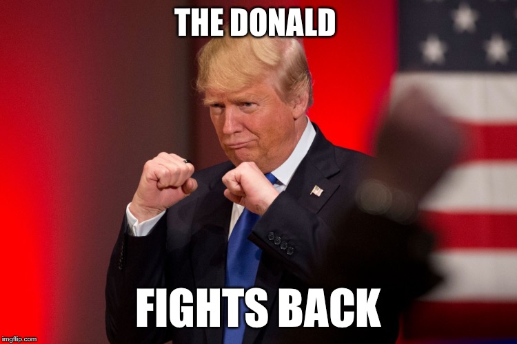 What?!? A Republican president fights back? | THE DONALD; FIGHTS BACK | image tagged in what a republican president fights back | made w/ Imgflip meme maker