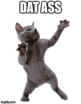 Happy Dance Cat | DAT ASS | image tagged in happy dance cat | made w/ Imgflip meme maker