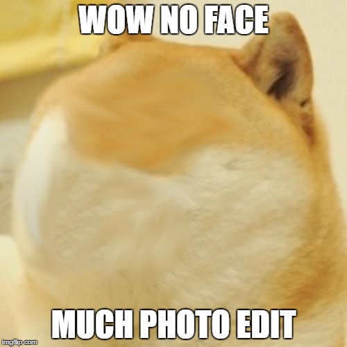 what have i done | WOW NO FACE; MUCH PHOTO EDIT | image tagged in doge,memes,funny,no face,photoshop,kill me | made w/ Imgflip meme maker