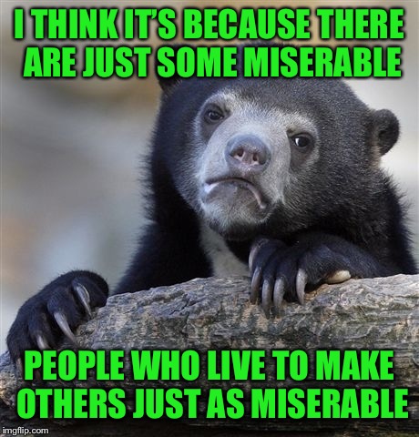 Confession Bear Meme | I THINK IT’S BECAUSE THERE ARE JUST SOME MISERABLE PEOPLE WHO LIVE TO MAKE OTHERS JUST AS MISERABLE | image tagged in memes,confession bear | made w/ Imgflip meme maker