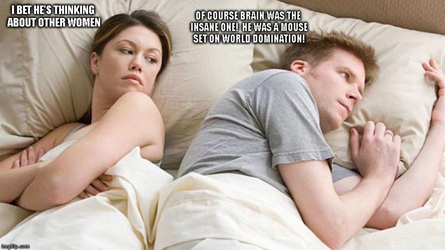 Bet he was kept up all night coming to that conclusion... | OF COURSE BRAIN WAS THE INSANE ONE! 
HE WAS A MOUSE SET ON WORLD DOMINATION! I BET HE'S THINKING ABOUT OTHER WOMEN | image tagged in i bet he's thinking about other women,pinky and the brain,cartoons,90s,90's | made w/ Imgflip meme maker