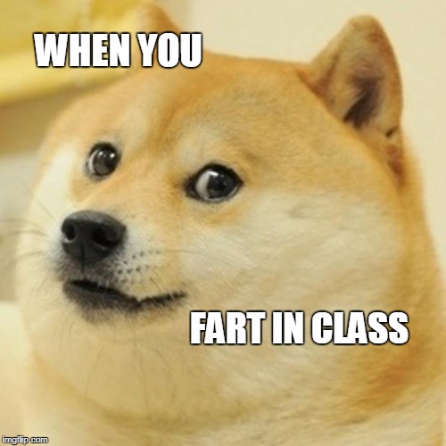 Doge | WHEN YOU; FART IN CLASS | image tagged in memes,doge | made w/ Imgflip meme maker