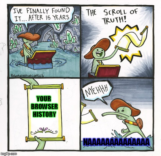 The Scroll Of Truth | YOUR BROWSER HISTORY; NAAAAAAAAAAAAAA | image tagged in memes,the scroll of truth | made w/ Imgflip meme maker