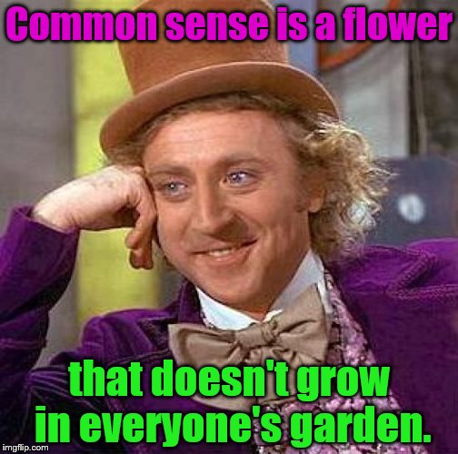 Creepy Condescending Wonka Meme | Common sense is a flower; that doesn't grow in everyone's garden. | image tagged in memes,creepy condescending wonka | made w/ Imgflip meme maker