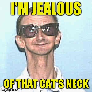 I'M JEALOUS OF THAT CAT'S NECK | made w/ Imgflip meme maker