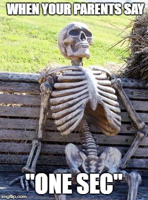 Waiting Skeleton | WHEN YOUR PARENTS SAY; "ONE SEC" | image tagged in memes,waiting skeleton | made w/ Imgflip meme maker