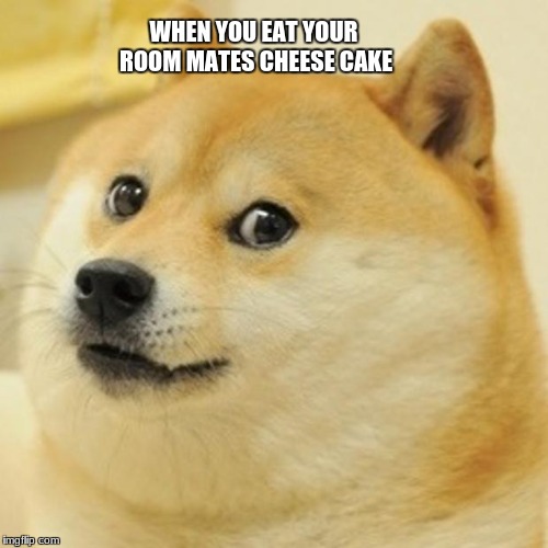 Doge | WHEN YOU EAT YOUR ROOM MATES CHEESE CAKE | image tagged in memes,doge | made w/ Imgflip meme maker
