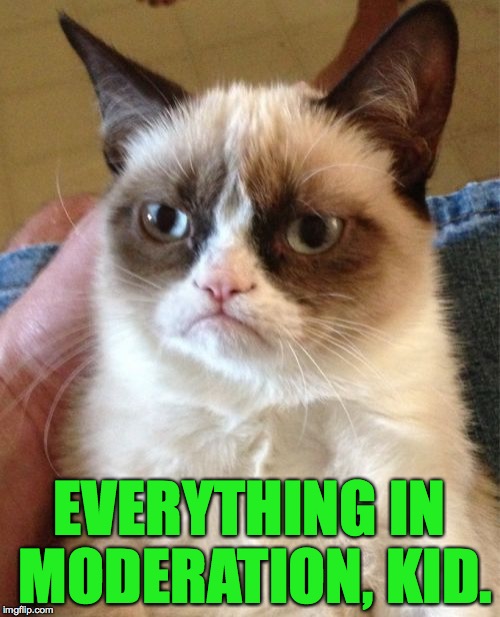 Grumpy Cat Meme | EVERYTHING IN MODERATION, KID. | image tagged in memes,grumpy cat | made w/ Imgflip meme maker