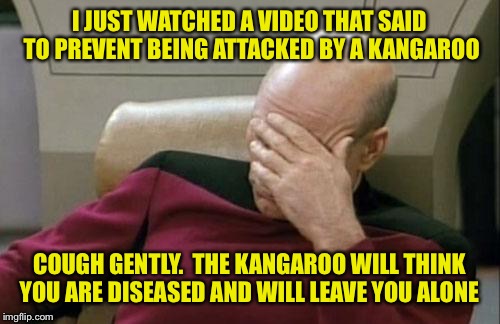 Really? How do you suppose someone figured that out???? | I JUST WATCHED A VIDEO THAT SAID TO PREVENT BEING ATTACKED BY A KANGAROO; COUGH GENTLY.  THE KANGAROO WILL THINK YOU ARE DISEASED AND WILL LEAVE YOU ALONE | image tagged in memes,captain picard facepalm,kangaroo,animal attack | made w/ Imgflip meme maker