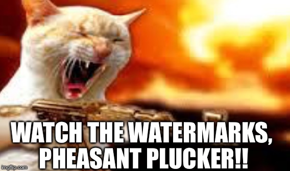 WATCH THE WATERMARKS, PHEASANT PLUCKER!! | made w/ Imgflip meme maker