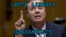 Lefty Lindsey | LEFTY LINDSEY; GRAHAMNESTY | image tagged in lefty lindsey,rino,shumer shutdown | made w/ Imgflip meme maker