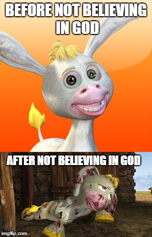 I God why | BEFORE NOT BELIEVING IN GOD; AFTER NOT BELIEVING IN GOD | image tagged in god,olly the donkey | made w/ Imgflip meme maker