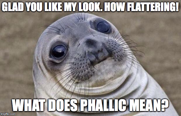 Awkward Moment Sealion Meme | GLAD YOU LIKE MY LOOK. HOW FLATTERING! WHAT DOES PHALLIC MEAN? | image tagged in memes,awkward moment sealion | made w/ Imgflip meme maker