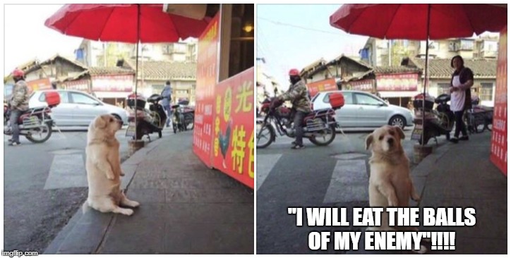 "I WILL EAT THE BALLS OF MY ENEMY"!!!! | image tagged in hotdog | made w/ Imgflip meme maker