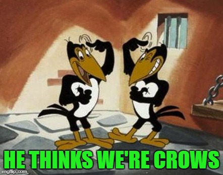 HE THINKS WE'RE CROWS | made w/ Imgflip meme maker