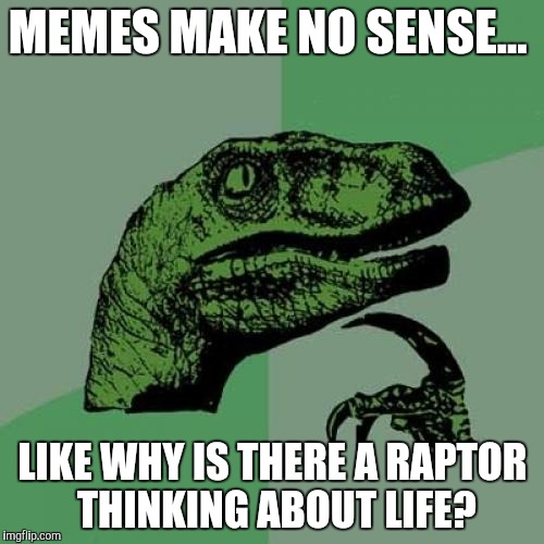 Thinking about memes | MEMES MAKE NO SENSE... LIKE WHY IS THERE A RAPTOR THINKING ABOUT LIFE? | image tagged in memes,philosoraptor | made w/ Imgflip meme maker