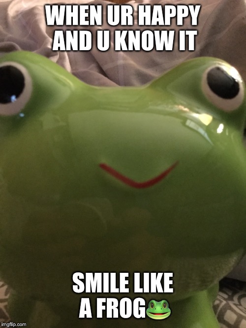Derpy Frog | WHEN UR HAPPY AND U KNOW IT; SMILE LIKE A FROG🐸 | image tagged in smile,like,a,frog | made w/ Imgflip meme maker