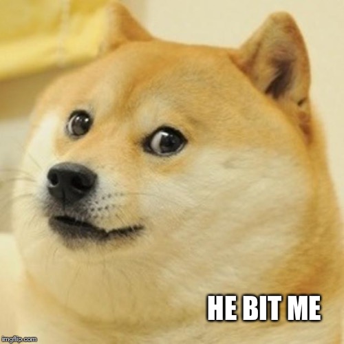 Doge Meme | HE BIT ME | image tagged in memes,doge | made w/ Imgflip meme maker