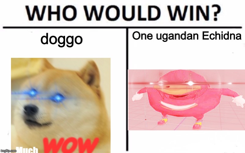 Who Would Win? | One ugandan Echidna; doggo | image tagged in memes,who would win | made w/ Imgflip meme maker