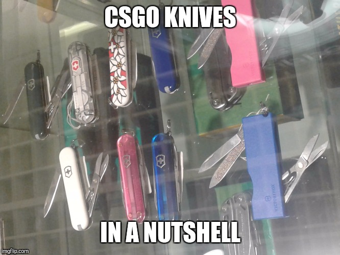 CSGO KNIVES; IN A NUTSHELL | image tagged in knives | made w/ Imgflip meme maker