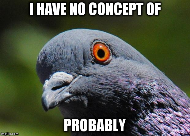 Pigeon | I HAVE NO CONCEPT OF; PROBABLY | image tagged in pigeon | made w/ Imgflip meme maker