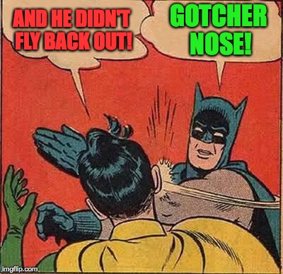 Batman Slapping Robin Meme | AND HE DIDN'T FLY BACK OUT! GOTCHER NOSE! | image tagged in memes,batman slapping robin | made w/ Imgflip meme maker