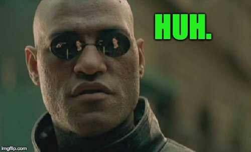 Matrix Morpheus Meme | HUH. | image tagged in memes,matrix morpheus | made w/ Imgflip meme maker