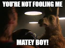 YOU'RE NOT FOOLING ME MATEY BOY! | made w/ Imgflip meme maker
