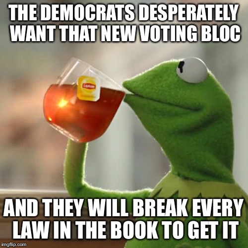 But That's None Of My Business Meme | THE DEMOCRATS DESPERATELY WANT THAT NEW VOTING BLOC AND THEY WILL BREAK EVERY LAW IN THE BOOK TO GET IT | image tagged in memes,but thats none of my business,kermit the frog | made w/ Imgflip meme maker