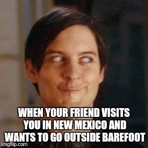 WHEN YOUR FRIEND VISITS YOU IN NEW MEXICO AND WANTS TO GO OUTSIDE BAREFOOT | image tagged in new mexico,goat head,barefoot | made w/ Imgflip meme maker