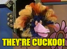 THEY'RE CUCKOO! | made w/ Imgflip meme maker