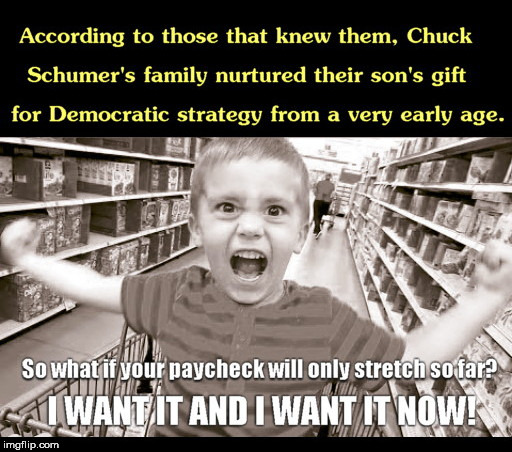 image tagged in chuck schumer,the early years,daca,spoiled brat | made w/ Imgflip meme maker