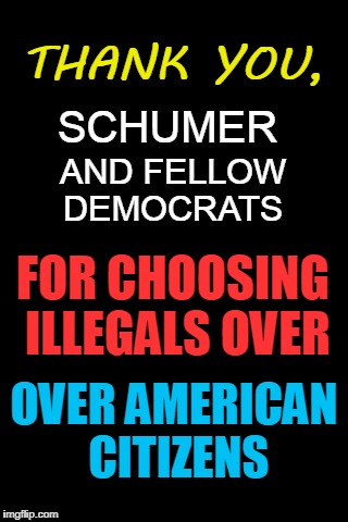 Thanks Schumer for choosing illegals over U.S. citizens |  THANK YOU, SCHUMER; AND FELLOW DEMOCRATS; FOR CHOOSING ILLEGALS OVER; OVER AMERICAN CITIZENS | image tagged in schumer,democrats,illegal aliens | made w/ Imgflip meme maker