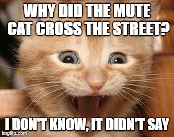 Excited Cat Meme | WHY DID THE MUTE CAT CROSS THE STREET? I DON'T KNOW, IT DIDN'T SAY | image tagged in memes,excited cat | made w/ Imgflip meme maker