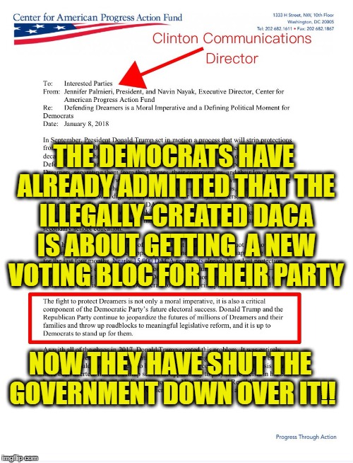Remember in November! | THE DEMOCRATS HAVE ALREADY ADMITTED THAT THE ILLEGALLY-CREATED DACA IS ABOUT GETTING  A NEW VOTING BLOC FOR THEIR PARTY; NOW THEY HAVE SHUT THE GOVERNMENT DOWN OVER IT!! | image tagged in daca,memes,illegal aliens,democratic party | made w/ Imgflip meme maker