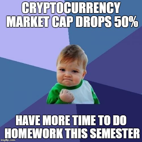 Success Kid Meme | CRYPTOCURRENCY MARKET CAP DROPS 50%; HAVE MORE TIME TO DO HOMEWORK THIS SEMESTER | image tagged in memes,success kid | made w/ Imgflip meme maker